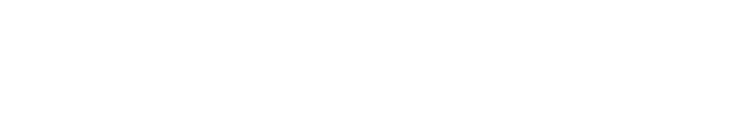 Wald Wire Logo